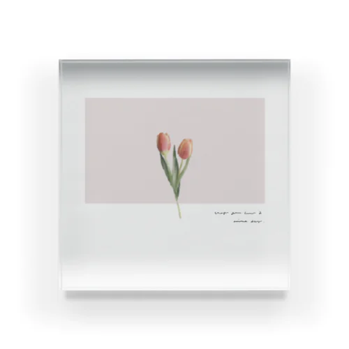 two peach tulip . Acrylic Block