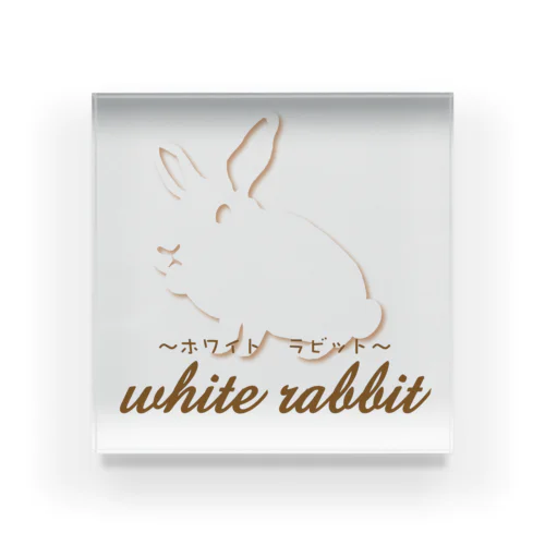 white rabbit Acrylic Block