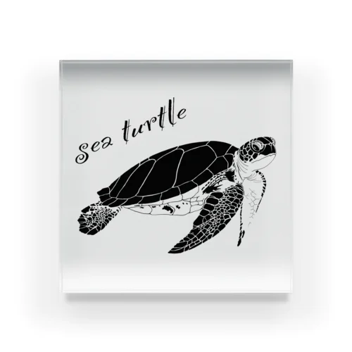 sea turtle Acrylic Block