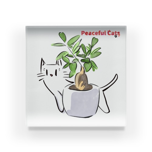 Peaceful Cats ガジュマル Acrylic Block