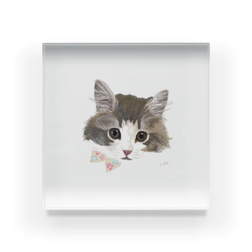 ねこのティナさん Acrylic Block