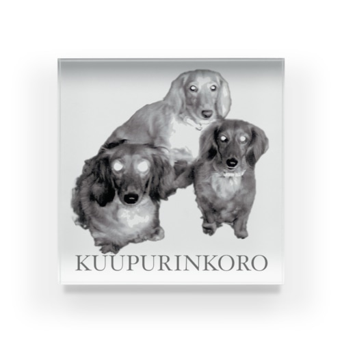 KUUPURINKORO  Acrylic Block