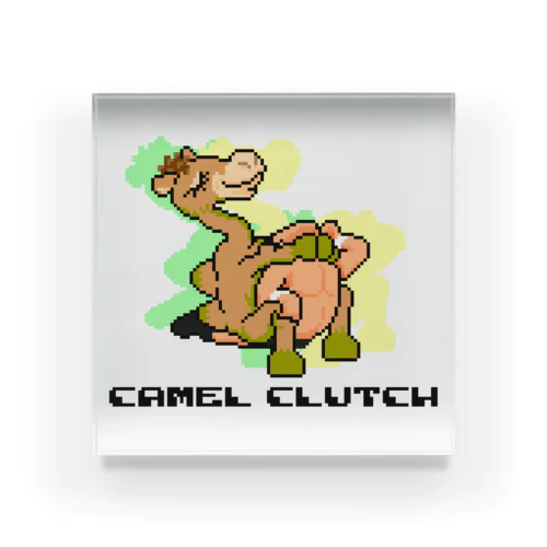 CAMEL CLUTCH アクリルブロック