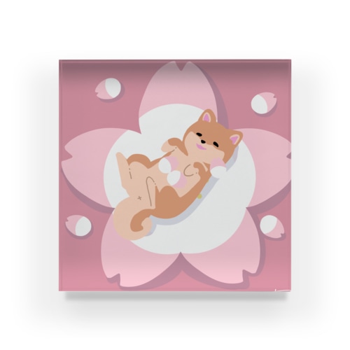 柴犬×桜 Acrylic Block