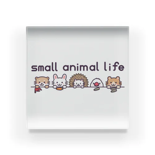 small animal life Acrylic Block