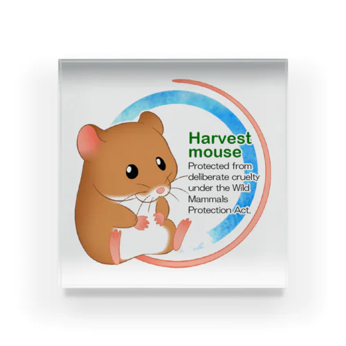 Harvest mouse(カヤネズミ)2 アクリルブロック
