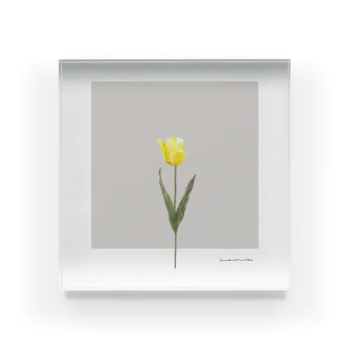 sakura milk tea . yellow .  tulip . Acrylic Block