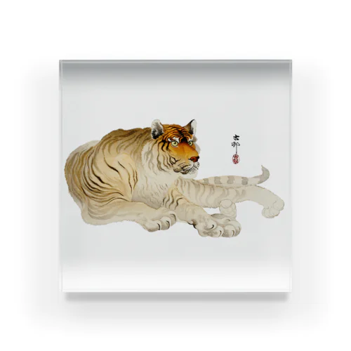小原古邨　虎　Ohara Koson / Tiger Acrylic Block