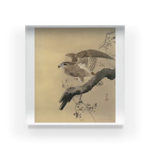 小原古邨　鷹　Ohara Koson / Falcon Acrylic Block