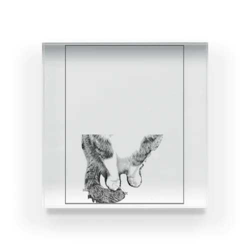 16 OC × Acrylic Block
