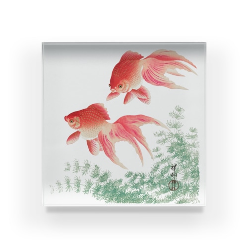 二匹の金魚　小原古邨作品編集　日本のアートTシャツ＆グッズ Acrylic Block