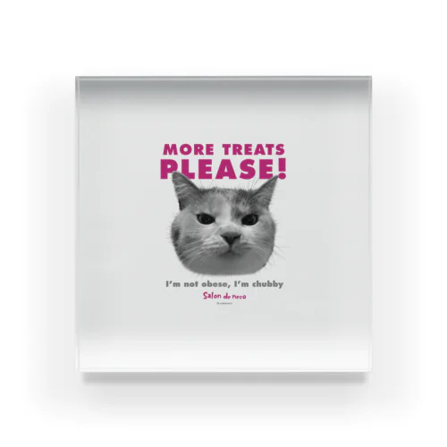 More treats PINK 【保護猫寄付220円】 アクリルブロック