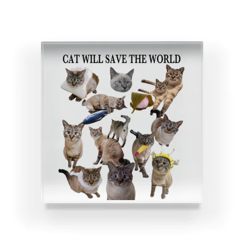 CAT WILL SAVE THE WORLD アクリルブロック