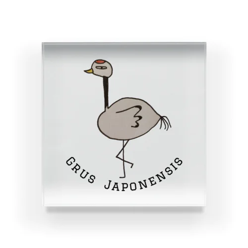 『Grus Japonensis』＝タンチョウヅル Acrylic Block