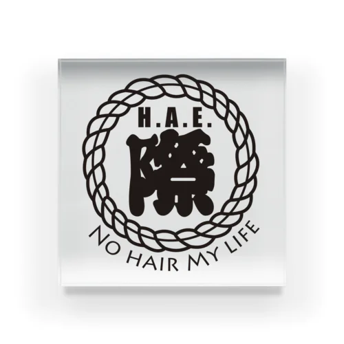 H.A.E.際 NO HAIR MY LIFE アクリルブロック