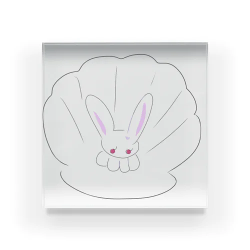 貝がらと、ネコうさ🐰 Acrylic Block