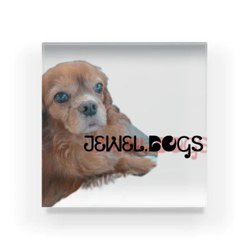 JEWEL.DOGS Acrylic Block