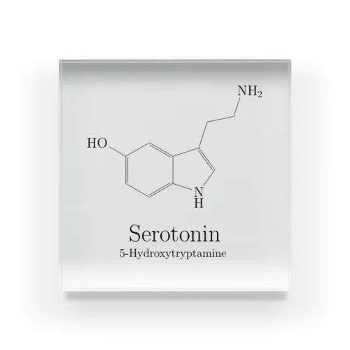 セロトニン アクリルブロック