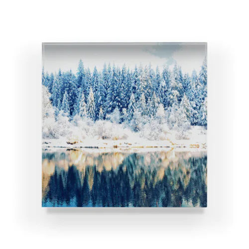 white forest Acrylic Block