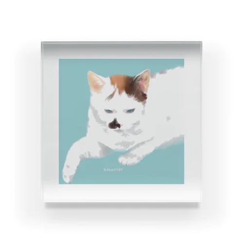 【うちねこちゃん】けっけ Acrylic Block