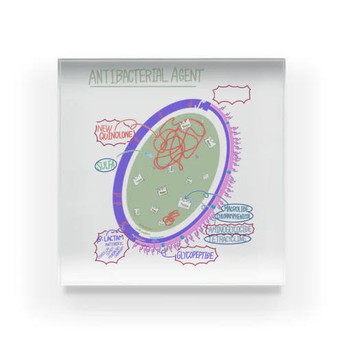 愉快な抗菌剤たち アクリルブロック