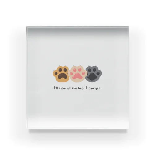 猫の手も借りたい🐾I’ll take all the help I can get. Acrylic Block