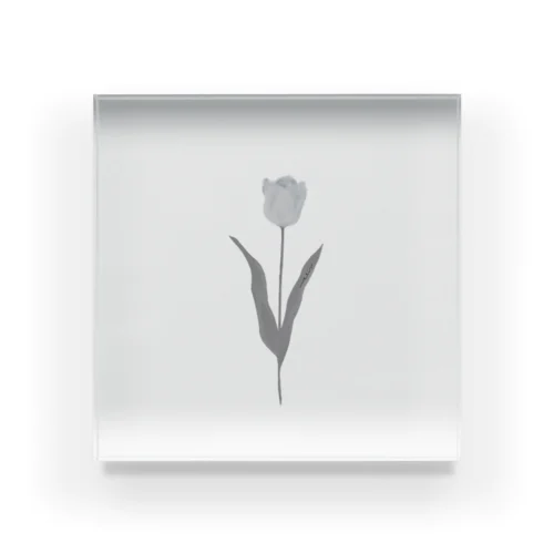 Tulip , shabby chic gray Blue . Acrylic Block