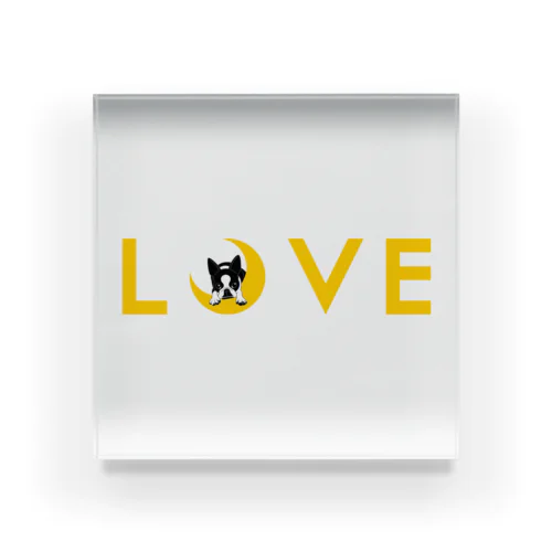 小物用:ボストンテリア(月LOVE)[v2.8k] Acrylic Block