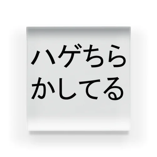 ハゲちらかしてる アクリルブロック