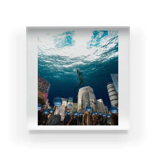 Under the sea in Japan Acrylic Block