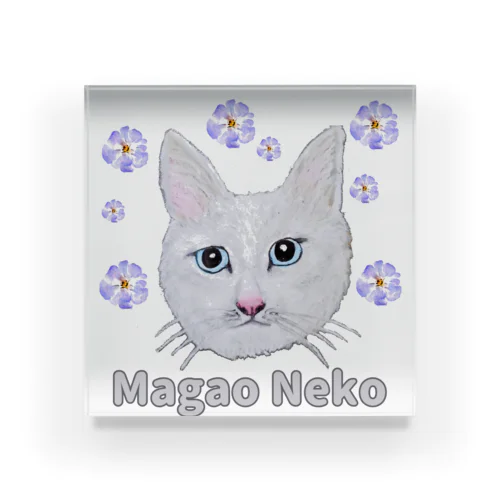 チョークアートの白猫[Magao Neko] アクリルブロック