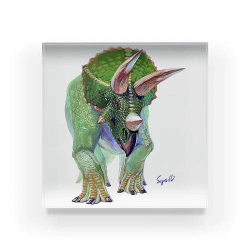 Triceratops Acrylic Block