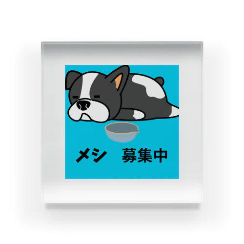 はらぺこ犬 アクリルブロック