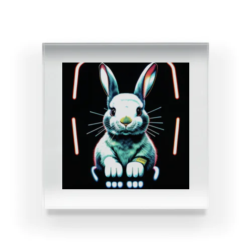 うさぎさん② Acrylic Block