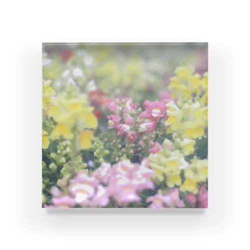 Flower Garden Acrylic Block