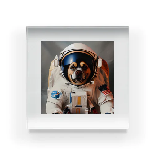 宇宙飛行士犬だワン！！ Acrylic Block