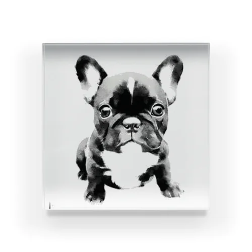 フレンチブルドックの仔犬グッズ Acrylic Block