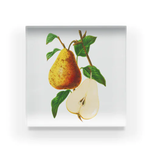 pear Acrylic Block