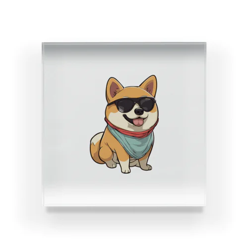 イカした柴犬 Acrylic Block