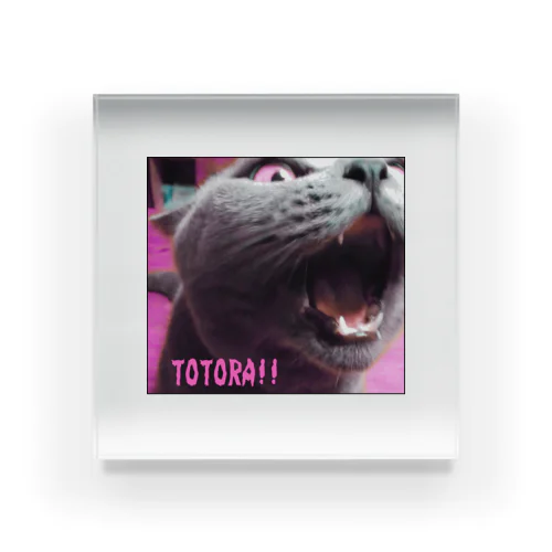 TOTORA!!2 Acrylic Block