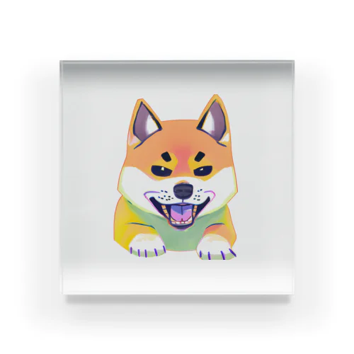 かっこいい柴犬くん Acrylic Block