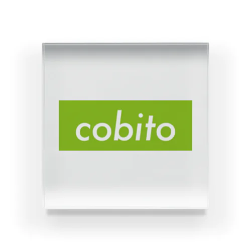 cobito 아크릴 블럭