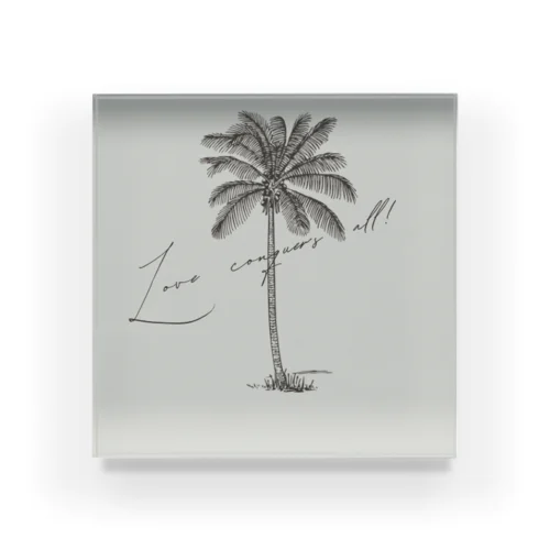 Palm tree.*･ﾟ アクリルブロック