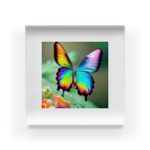 花に舞い降りた虹色の蝶のグッズ アクリルブロック