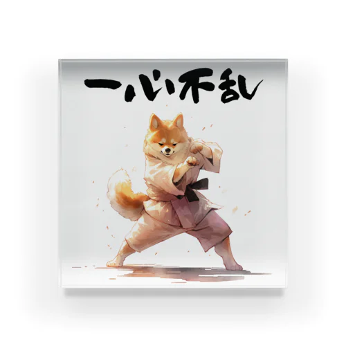 一心不乱に空手をする柴犬 Acrylic Block