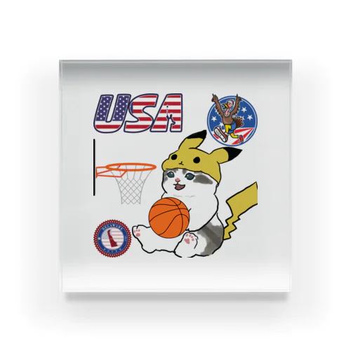 バスケットボール選手の猫 Acrylic Block