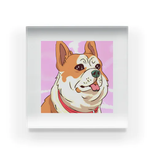 人懐こい犬 Acrylic Block