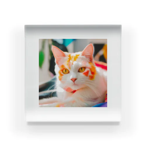 可愛い猫 Acrylic Block