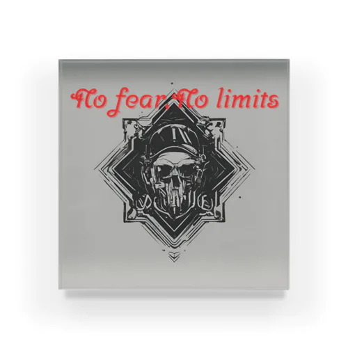 No fear No limits Acrylic Block