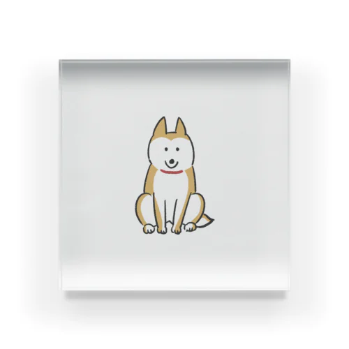 ゆる忠犬 Acrylic Block